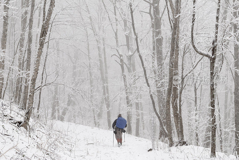 人类行走在冰雪覆盖的冬日森林里