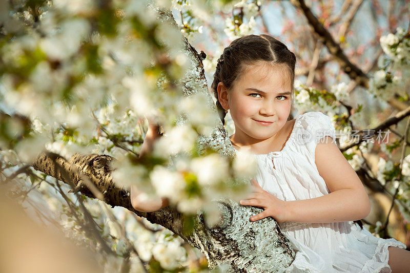 可爱的小女孩在树上玩耍、享受