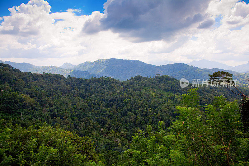 斯里兰卡风景