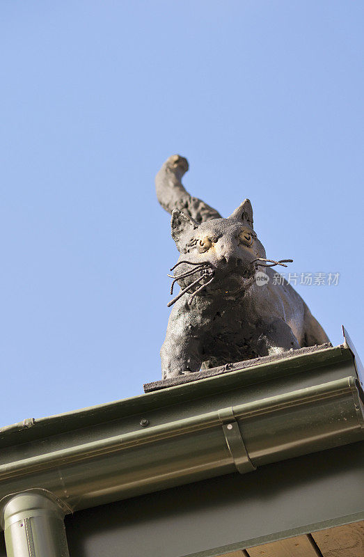 雕塑――屋顶上的一只猫