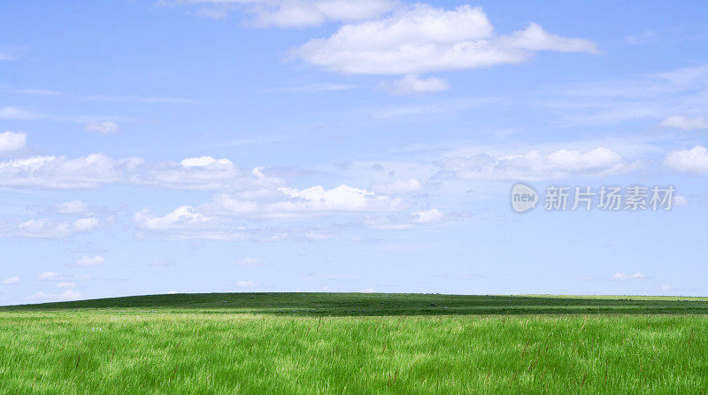 草原和地平线