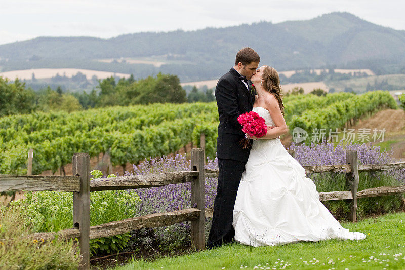 新娘和新郎亲吻旁边的木制篱笆自然背景