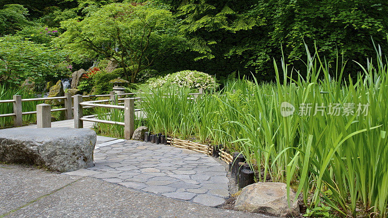 植物边境竹烧焦木材波特兰市日本花园俄勒冈州