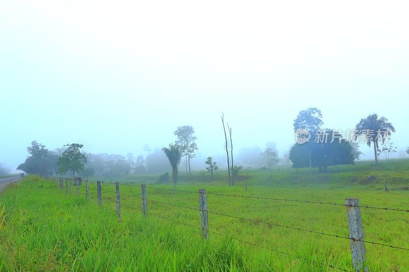 乡间小路雾