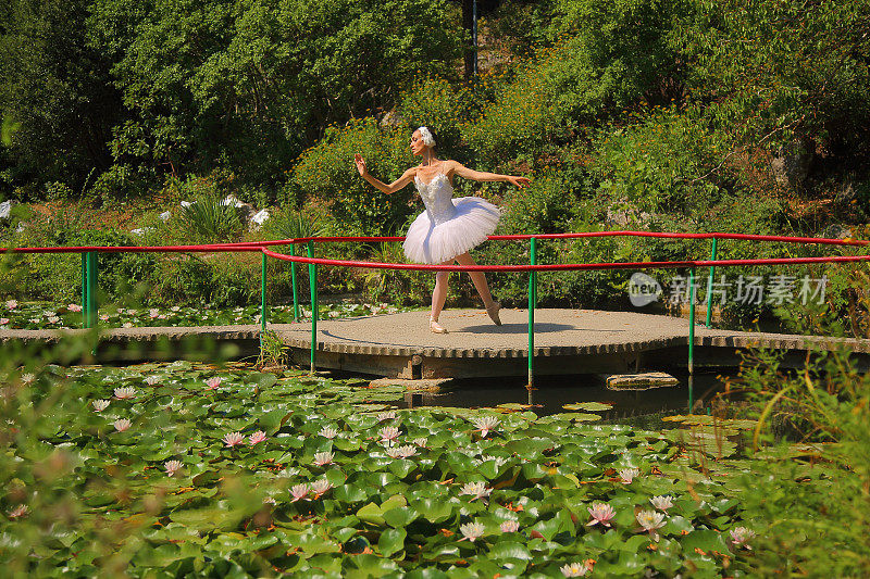 芭蕾舞演员在公园池塘上跳舞