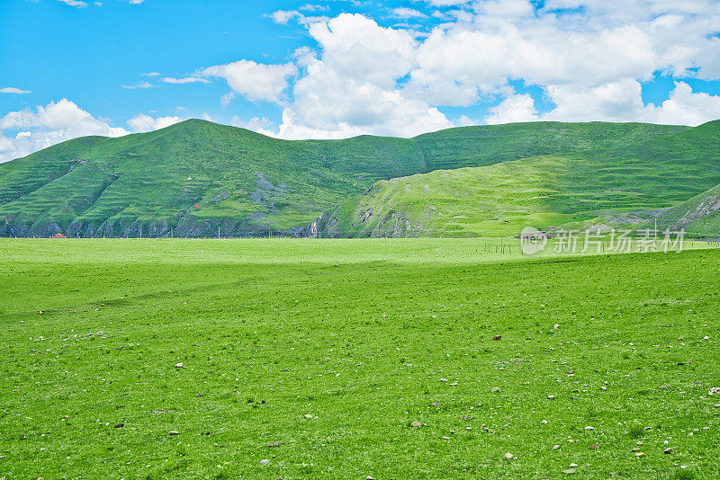 山上的草地