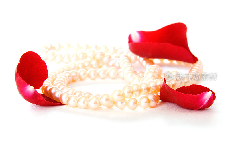 白珍珠项链配红玫瑰花瓣