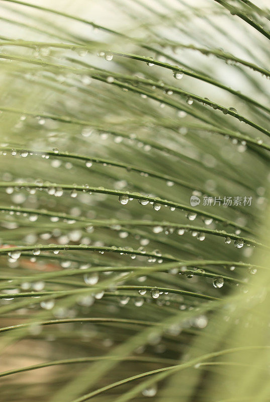 雨滴