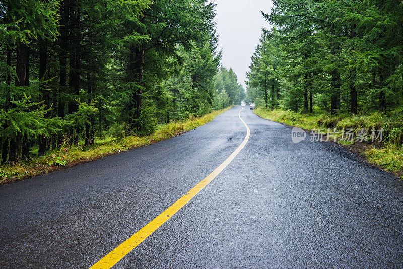 前进的道路