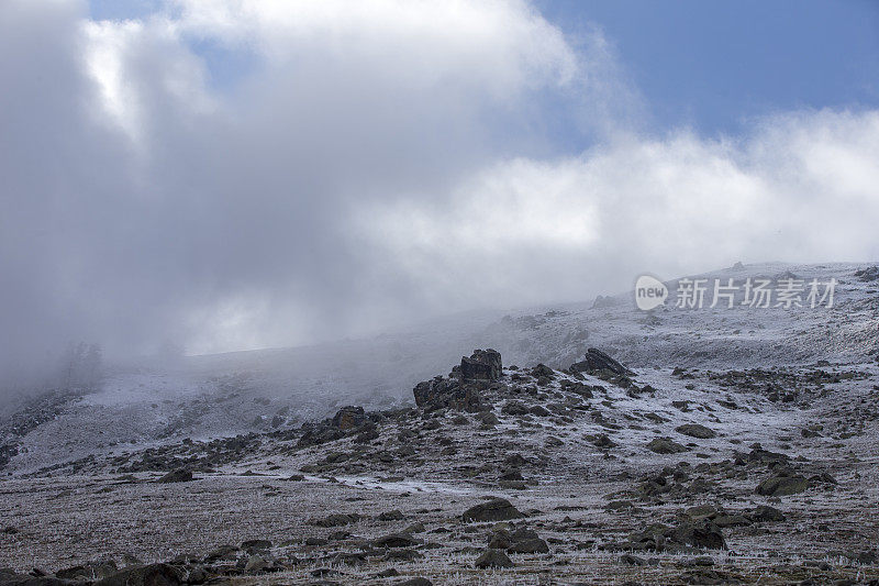 白雪覆盖了中国新疆喀纳斯湖附近的树木