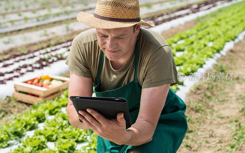 农民在一片土地上用数字平板电脑点菜