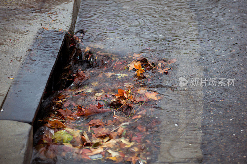 下雨天，雨水沟部分被落叶堵塞