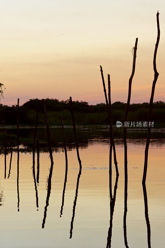 防水Monterrico-Hawaii