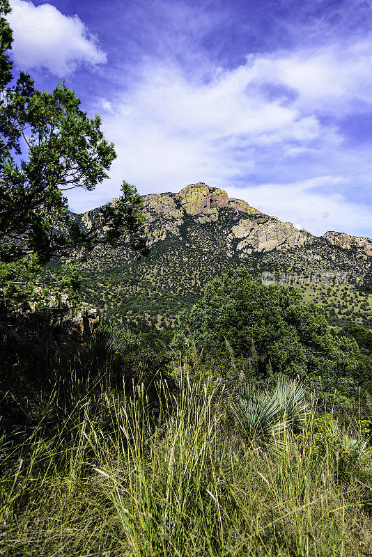 奇里卡瓦山脉，亚利桑那州东南部