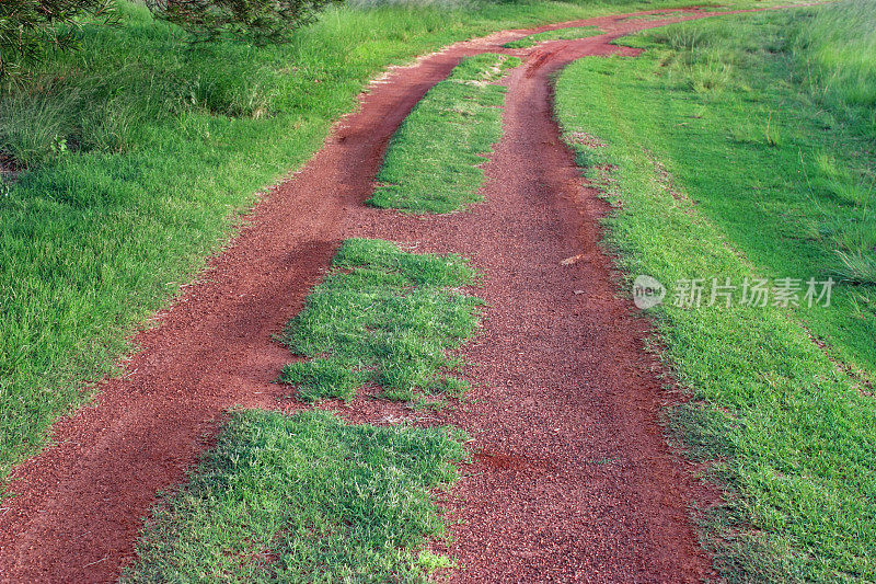非洲的土路在长满红壤的灌木草原上行驶