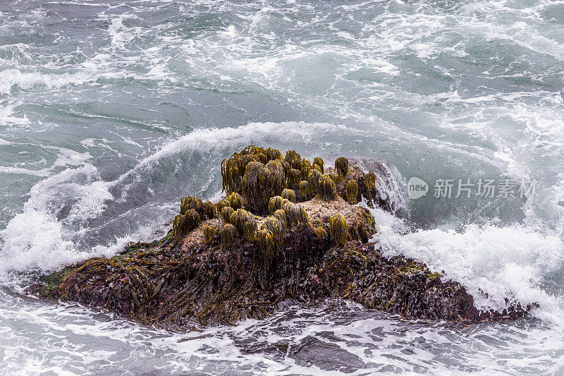 大苏尔附近的海岸