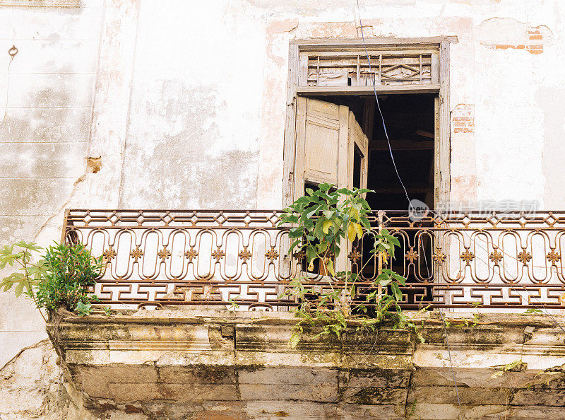 哈瓦那古巴建筑室外阳台与植物