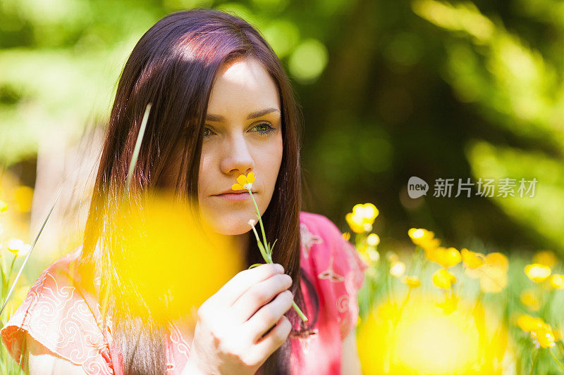 安静的黑发女人闻着黄花