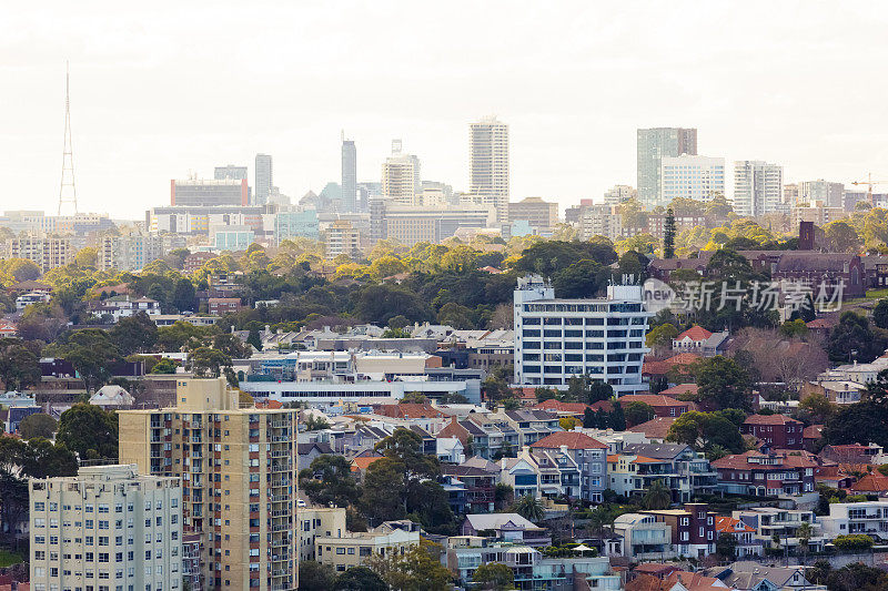 城市，北悉尼澳大利亚，以白色背景与复制空间