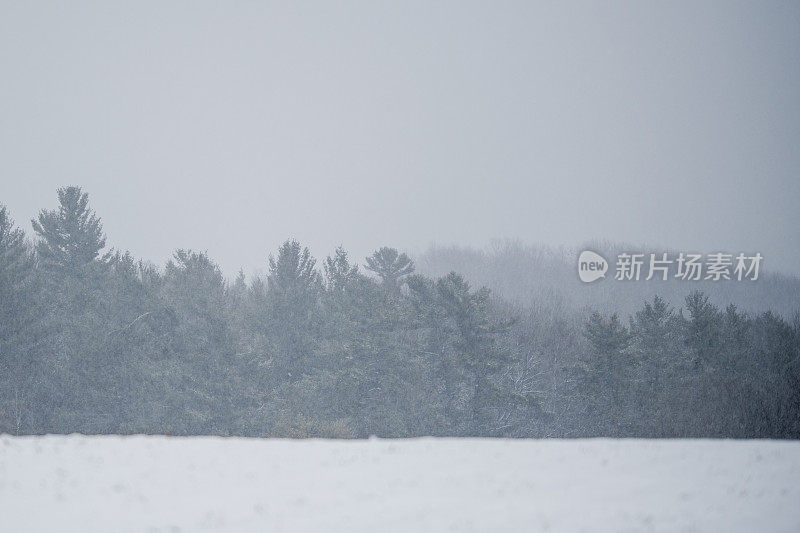 暴雪