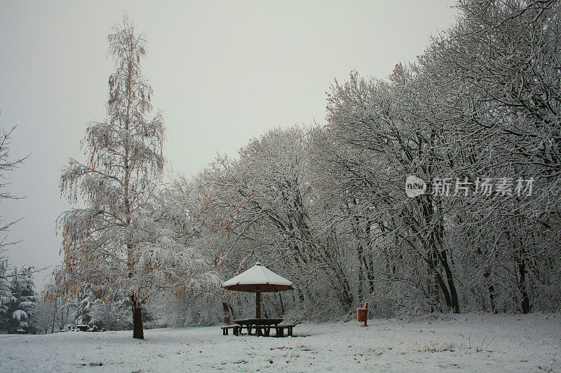 贝尔格莱德冬天的雪景