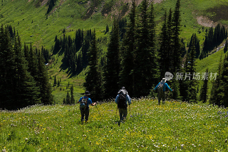 在美丽的山脉中徒步旅行