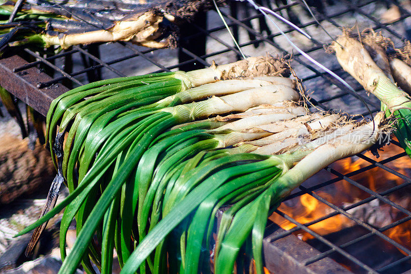 Calçots烤架上的火上——加泰罗尼亚人的典型餐点