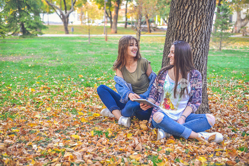 年轻的女学生在城市公园里学习，秋天的时候。