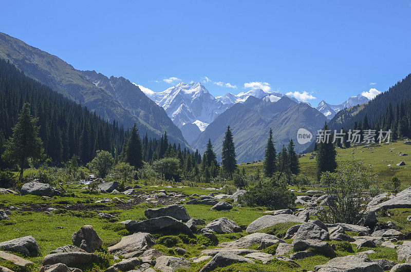 山谷位于风景如画的天山山脉，吉尔吉斯斯坦喀喇昆仑山，中亚。阿尔金·阿拉山，Jety-Oguz山谷阳光明媚的草地