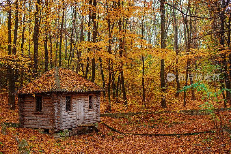 秋天森林里的护林员的偏僻的老木屋