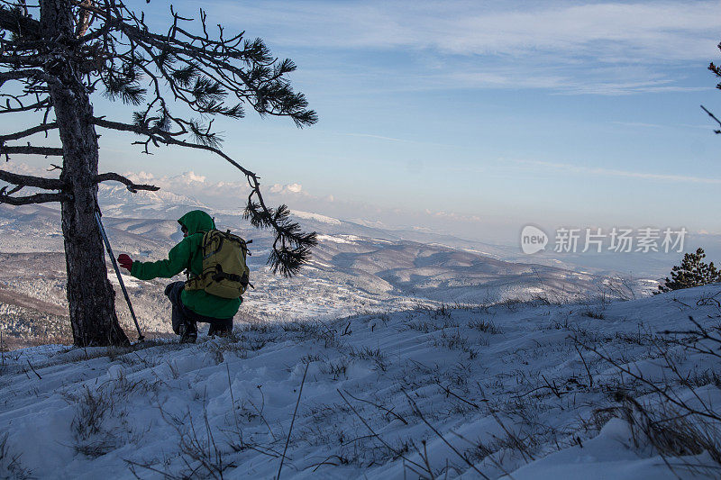 徒步旅行者蹲在松树下，伸手去拿登山杖