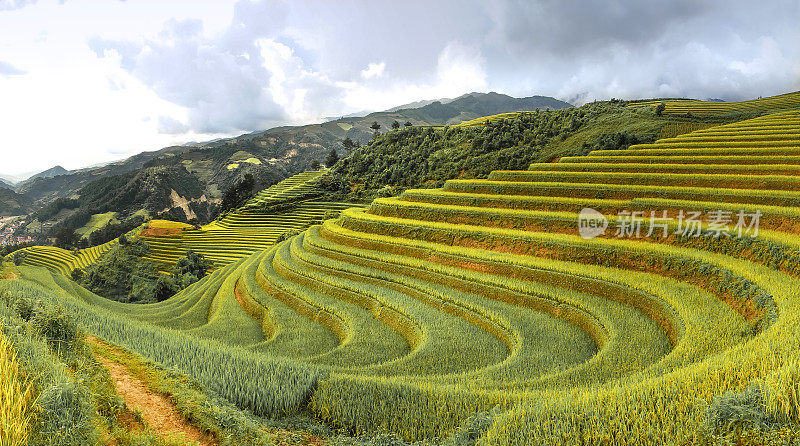 越南西北部山区梯田的美丽画面