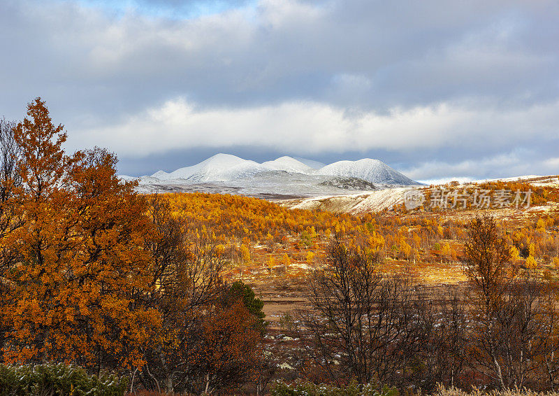 罗丹国家公园与史缪贝尔根与第一雪。