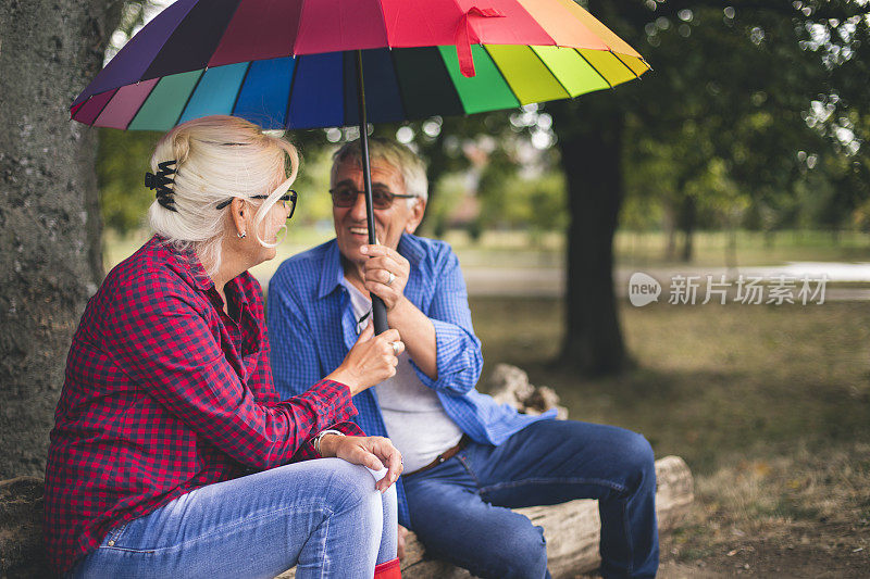 两人撑着伞在秋天的雨天