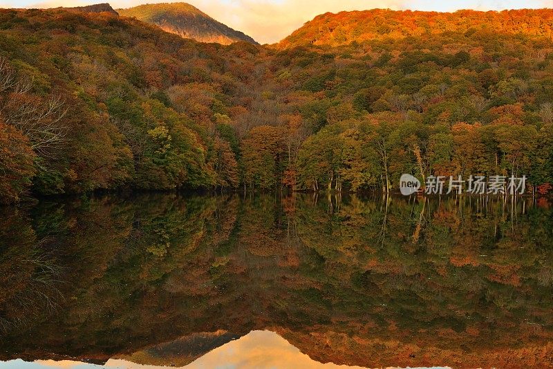 晨光的Tsuta-numa(沼泽)，和田市，日本东北部