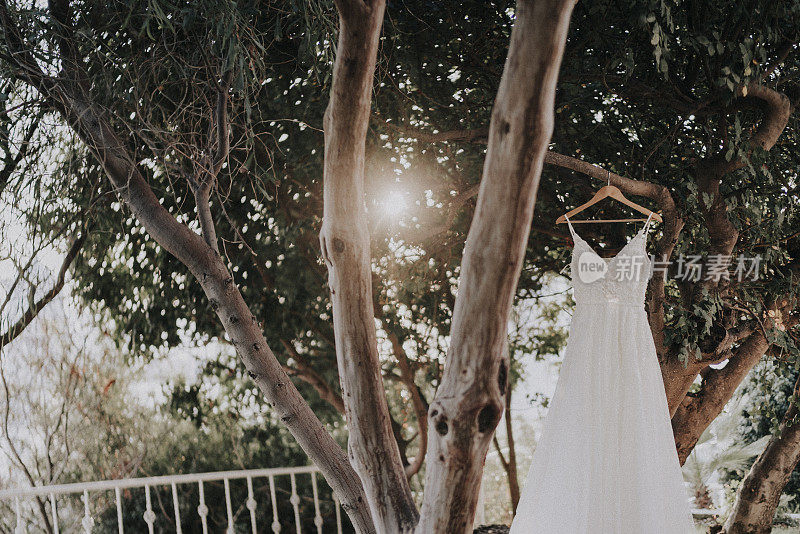 米色婚纱挂在花园里的树枝上