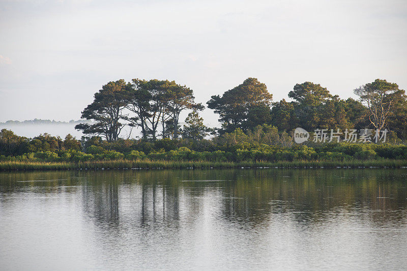 Chincoteague岛的风景