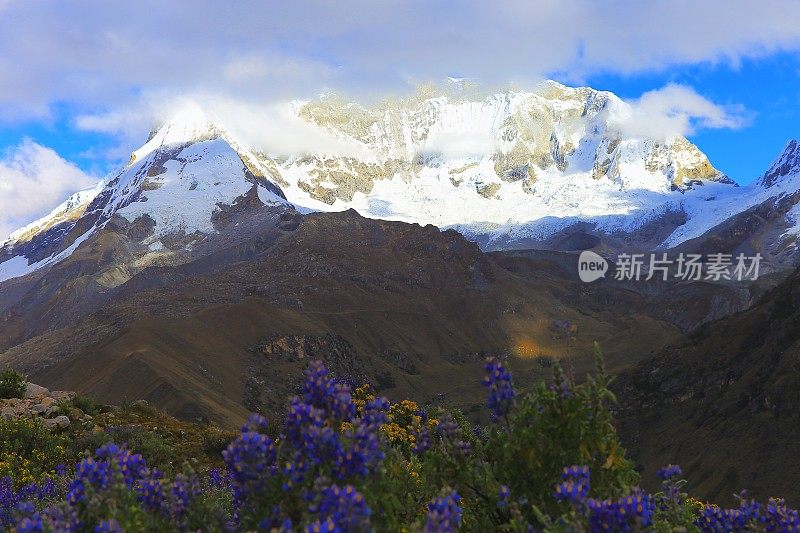 秘鲁的喀什，喀什山脉的胡斯卡兰山脉和日出时的野花