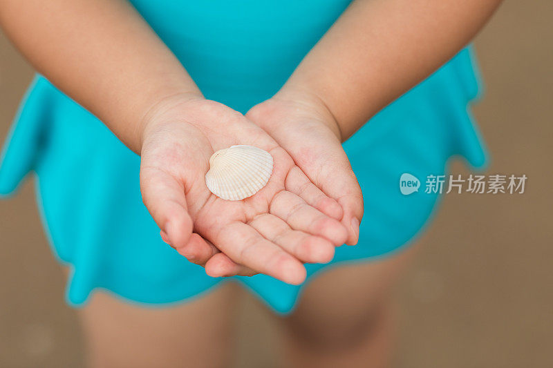 孩子的手在海边拿着一个贝壳