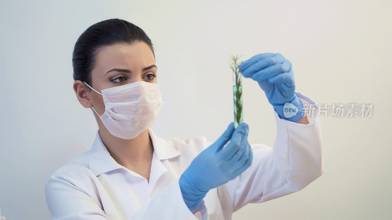 年轻的女性生物学家在工作