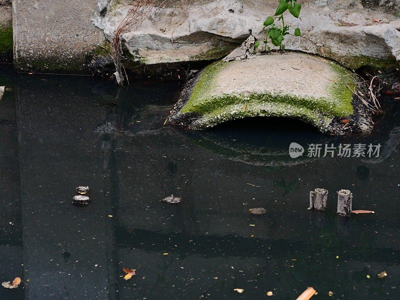 污水从管道排出，环境污染