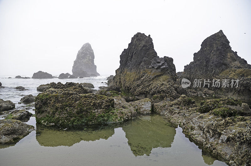 俄勒冈坎农海滩和附近的干斯塔克岩石