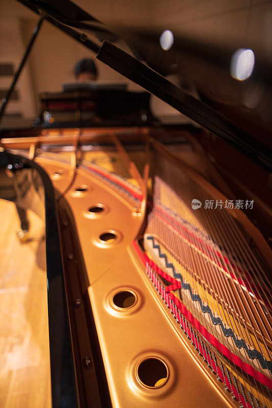 音乐厅里的大钢琴