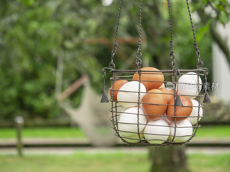 白色和棕色的鸡蛋放在金属丝篮子里