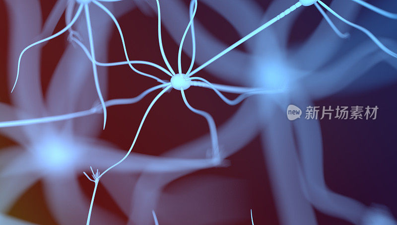 神经细胞。突触和神经元细胞发送化学电信号