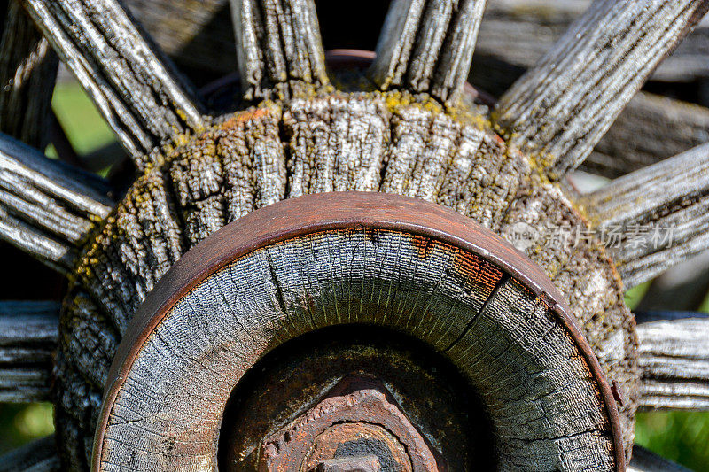 古董的特写，在阿尔伯塔马场，卡纳纳斯基斯国家的木制马车轮子