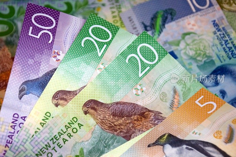 新西兰币(NZD)元