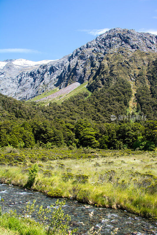 新西兰:猴溪