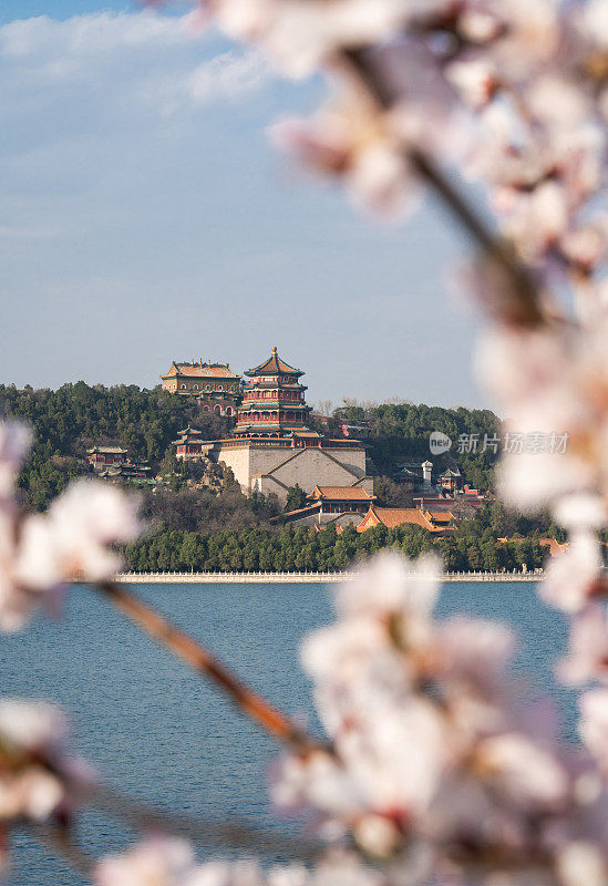 春天的北京颐和园