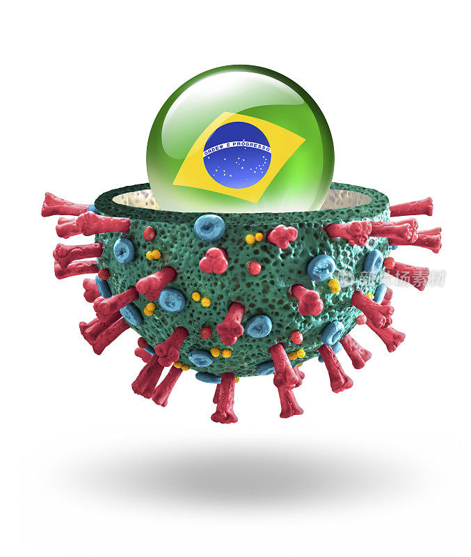 冠状病毒COVID-19微观宏观模型与巴西国旗
